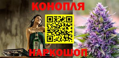 стаф Шелехов