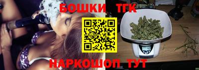 стаф Шелехов