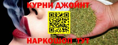 стаф Шелехов