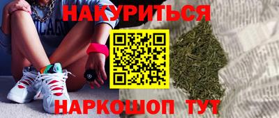 стаф Шелехов