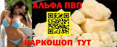 стаф Шелехов