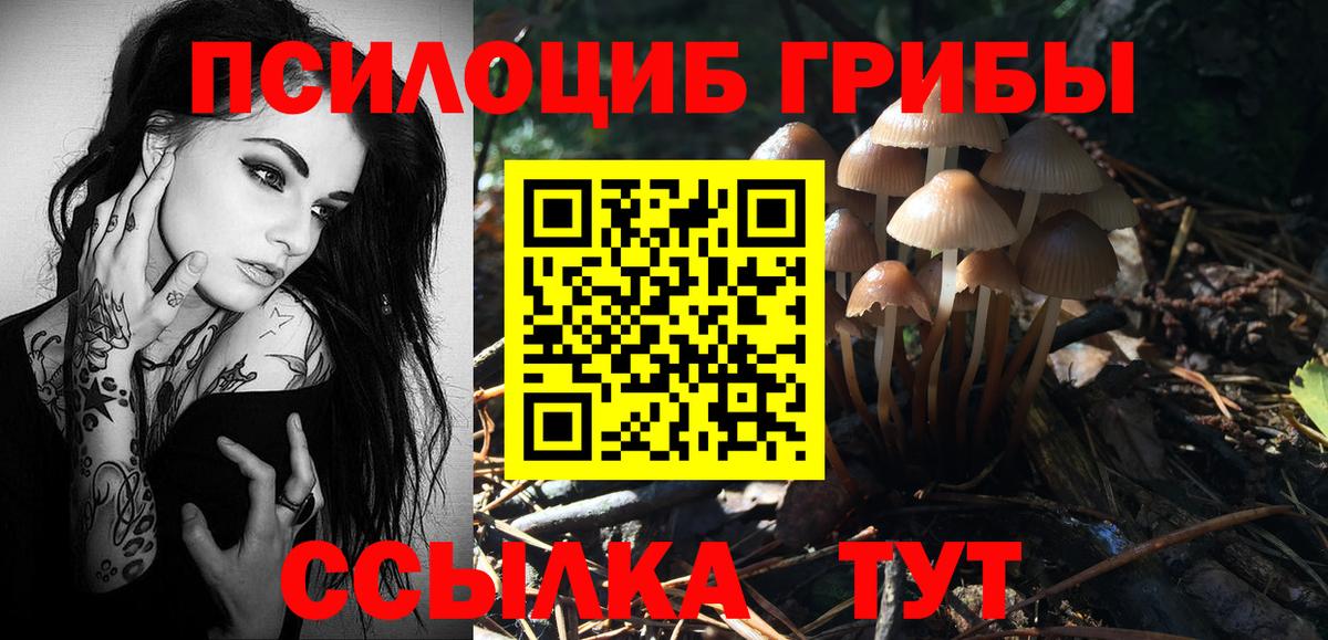 Еманжелинск  Псилоцибиновые грибы мухоморы  Вход с VPN 